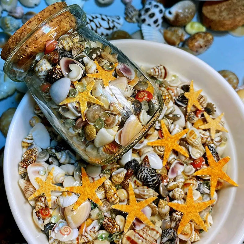 🌊Sea Treasures in a Bottle